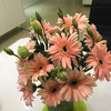 https://ak-d.tripcdn.com/images/Z80f0v000000jt4k2B876.jpg