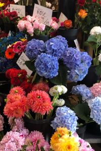 emily95116 三井花園飯店大阪普米爾優惠