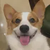 Avatar 1