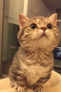 _WeChat17879**** 濱松町名鐵飯店優惠