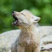 ZZMMXX 珠海龍珠達國際酒店（拱北口岸店）優惠