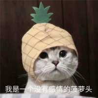 爱吃的同学