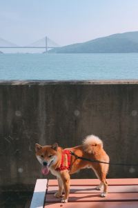 mandyjw 廈門中山路步行街海景美居飯店優惠