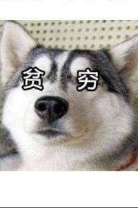 1586283**** 杭州御雲·黃龍飯店優惠