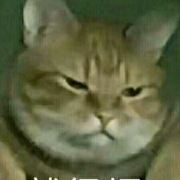 _CFT010000001017**** 上海靜安寺淮海中路亞朵X飯店優惠