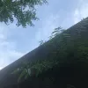 Avatar 2