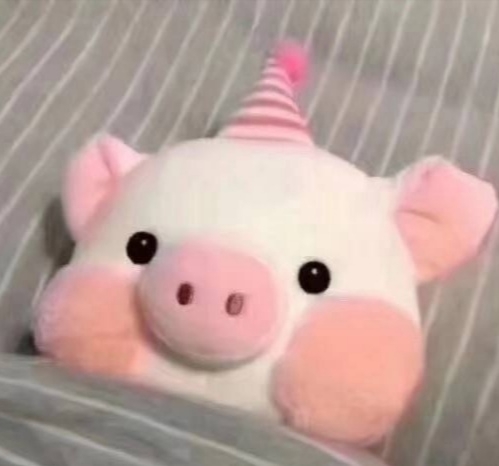head-img