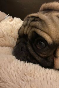 _WeChat37352**** 廈門會展中心海景別墅亞朵飯店優惠