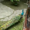 Avatar 2