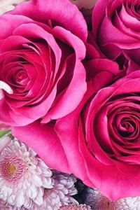 Xinwujiban 上海靜安紫苑飯店式公寓優惠