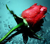 https://ak-d.tripcdn.com/images/Z80h170000010t10nB904.jpg