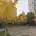 royal_tian01