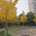 royal_tian01