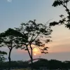 Avatar 3