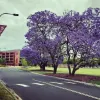 Avatar 2
