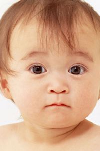 Budingmianbao 深圳溫德姆至尊飯店優惠