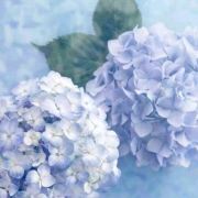 286006**** 廈門瑞麗飯店（滙景廣場翔安區政府店）優惠