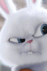 Hehe94hehehe 富士レークホテル クーポン