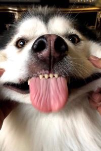 oneccck 上海凱世精品飯店優惠