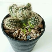 Ruruoshini 雲行裡飯店（天府國際機場店）優惠