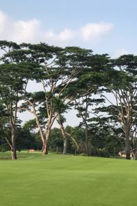 1898002**** 香港海景嘉福洲際飯店優惠