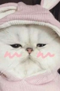 Haiyan 宜尚酒店（貴陽高鐵北站店）優惠