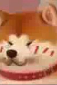 Wuyou 費爾班克斯燭木套房酒店優惠