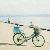 user-icon