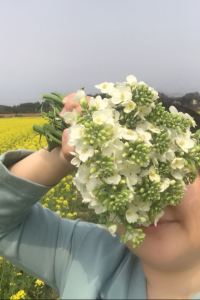 Chenchen 新興雲浮雅途酒店優惠