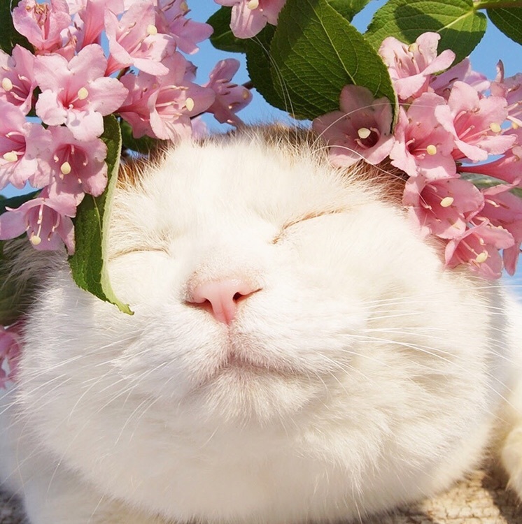 head-img