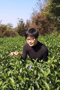 _M1391649**** ホテルフォルツァ金沢 クーポン