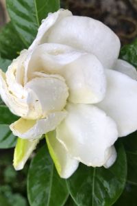 stanty1 烏鎮昭明書舍優惠