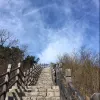 Avatar 1