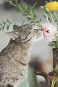 Jinrunyangguang 重慶萬豪行政公寓優惠