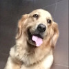 https://ak-d.tripcdn.com/images/Z80l0k000000cbwxdFD2F.jpg