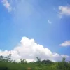 Avatar 2