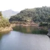 Avatar 1