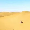 Avatar 3