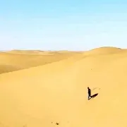 user-avatar