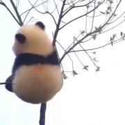 Louise_Yue 布拉格冬宮酒店優惠