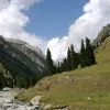 Avatar 1