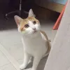 Avatar 3