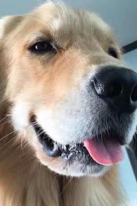 莎莎可妮 沐月二館優惠