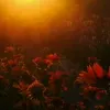 Avatar 3