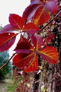 Dongbeihu 長沙運達喜來登酒店優惠