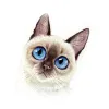 Avatar 2