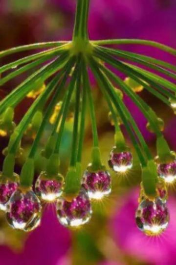 Nydiabai DOYANEN HOTELS BAKURO (どやねん ホテルズ バクロ） クーポン