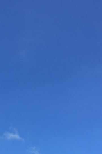 hswsysh 上海青松城大酒店優惠