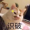 user-icon