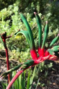 Lingboxian 佩拉宮酒店優惠